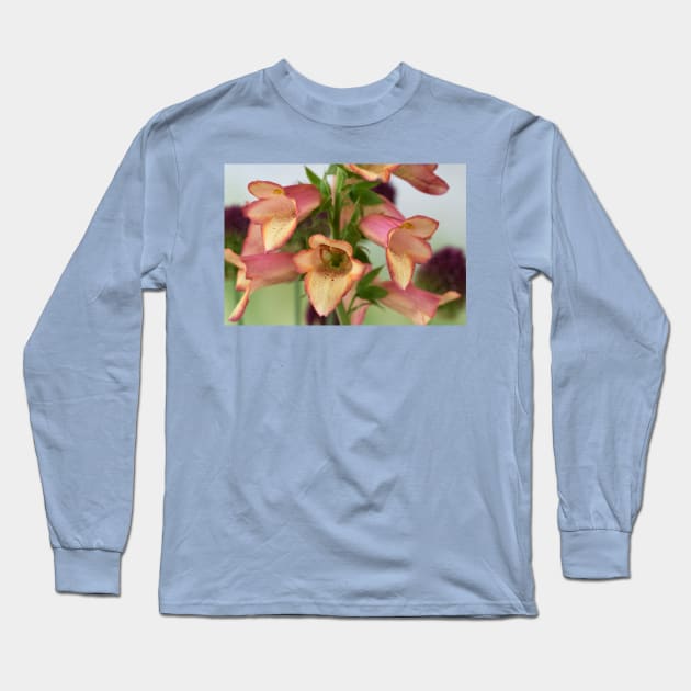 Digitalis x valinii Illumination Pink = 'Tmdgfp001' Foxglove Illumination Series Long Sleeve T-Shirt by chrisburrows